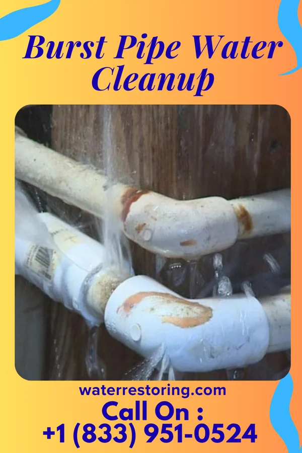 Burst Pipe Water Cleanup in Bethune, SC