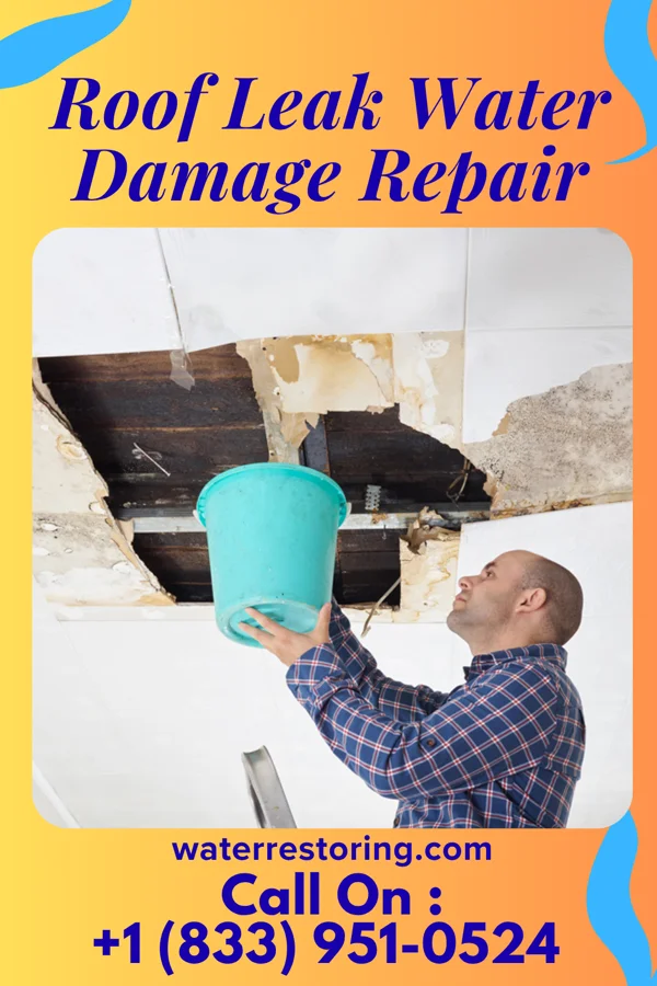 Roof Leak Water Damage Repair in Bethune, SC